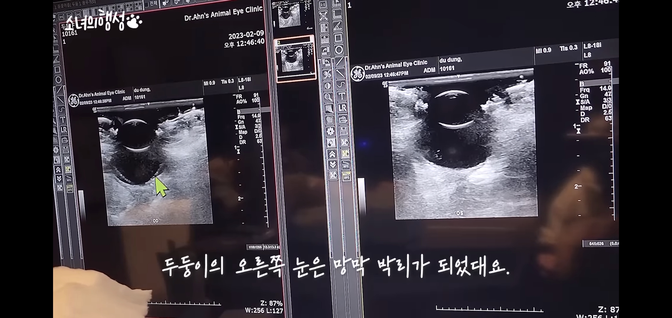 번식장에서 강아지 구조 후 치료했더니 절도죄로 고소당한 유튜버.jpg | 인스티즈