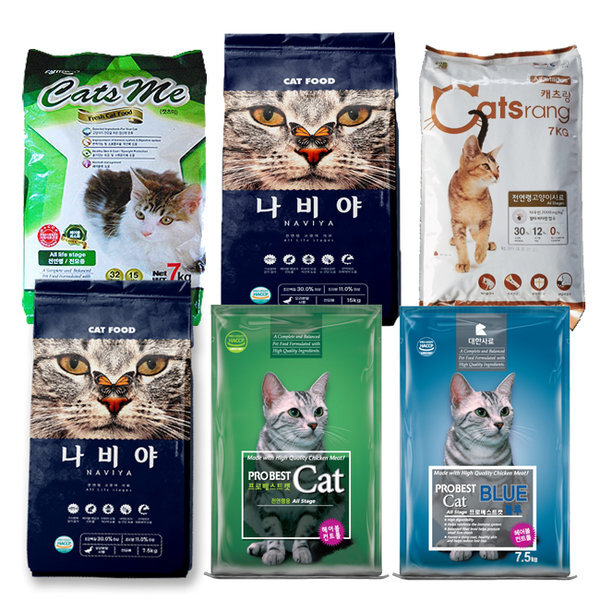 우리나라는 왜 고양이를 "나비야~"라고 부르게 됐을까 | 인스티즈