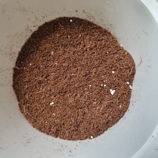 추석인데 사주나 보자 | 인스티즈