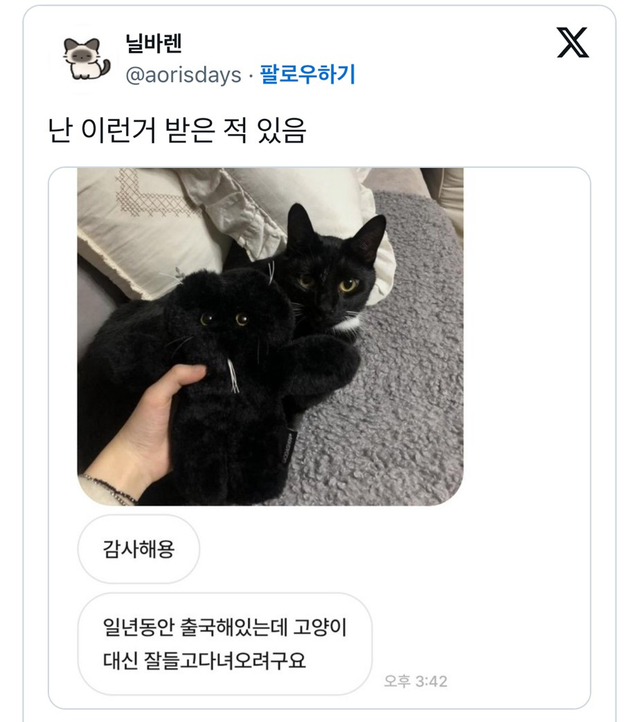 중고거래 구매자가 자꾸 이모티콘을 보내서 무서웠는데 알고 보니 고양이였음.twt (귀여우니까 보고 힐링해) | 인스티즈