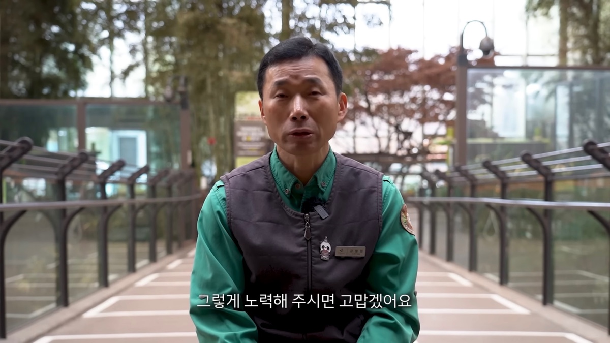 강바오가 중국 사육사에게 보내는 영상편지 (오열주의) | 인스티즈