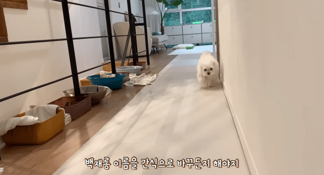 새로 이사온 주택에 물이 새요.jpg | 인스티즈