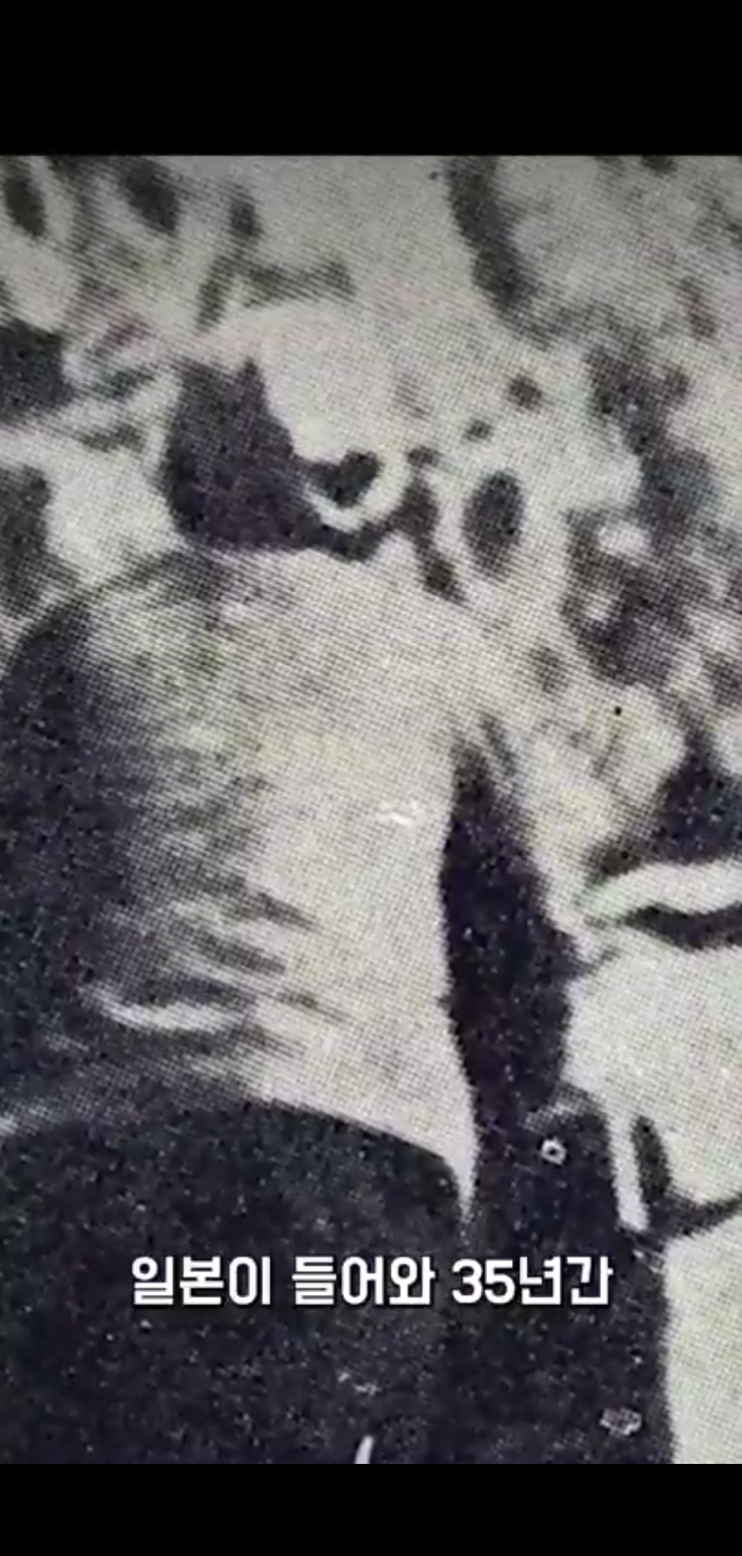 그 많던 신라의 황금들은 어디로 갔을까? | 인스티즈