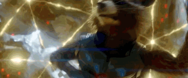 ㅅㅍ 로켓이 똑똑한 건 알았어도 역대급 천재인 것까지는 실감을 못했던게.gif | 인스티즈