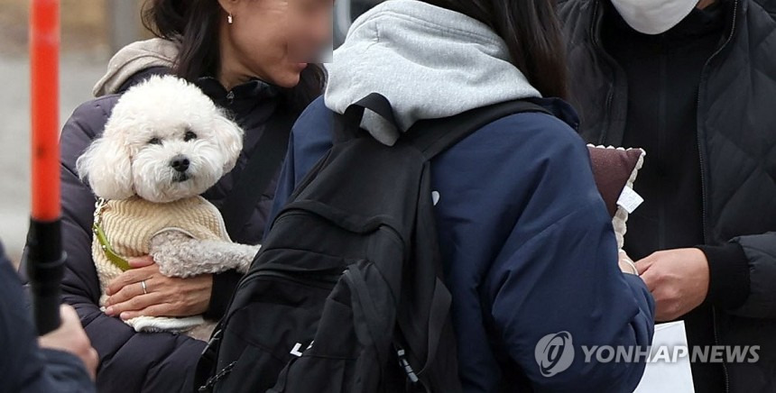 언니, 수능 잘보구와 | 인스티즈