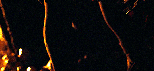 친구들이랑 동굴 탐험갔다가 이상한 동굴에 빠졌는데 갑자기 친구들이 하나 둘씩 죽어가..gif | 인스티즈