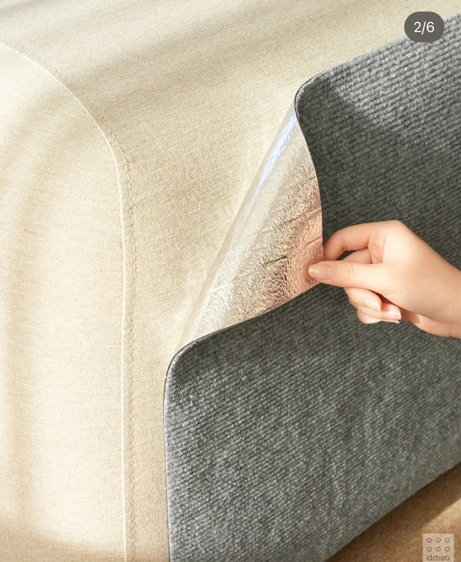 다이소 펫 용품 신상.jpg | 인스티즈