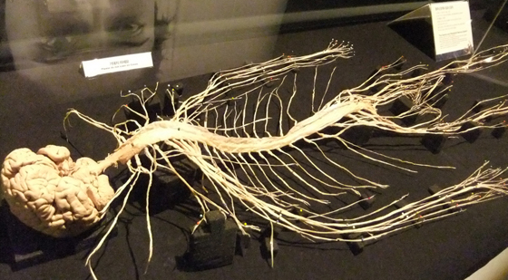 90년대생들이 기억하는 잔인한 장소, 당신은 가봤나요? | 인스티즈