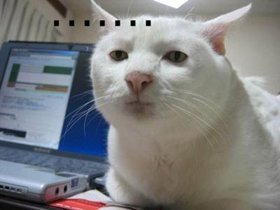 주변에서 많이 볼 수 있는 모녀(母女)조합.jpg | 인스티즈