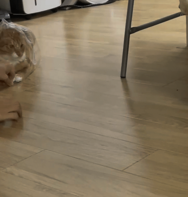 가... | 인스티즈