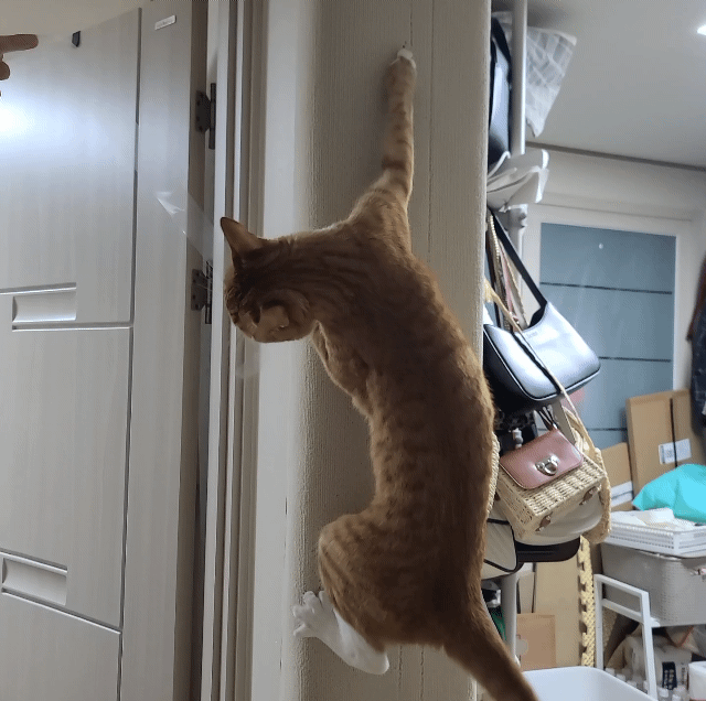 가... | 인스티즈