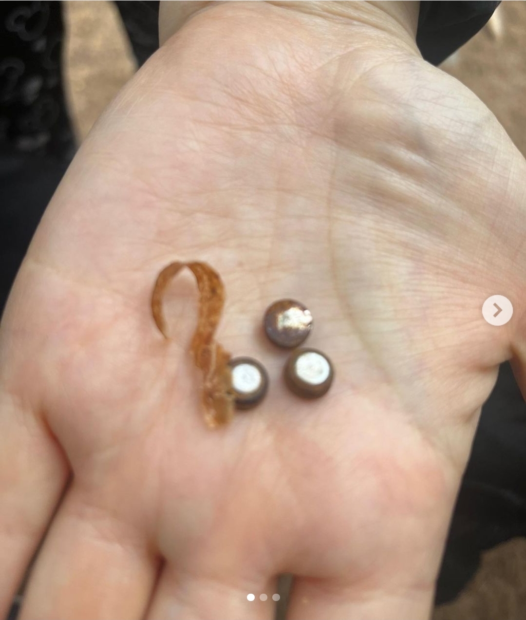 성수동에서 강아지 키우는 여시들 조심해! | 인스티즈