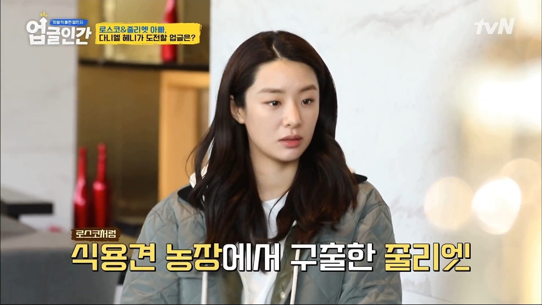 식용견 농장에서 구출된 다니엘 헤니의 강아지 로스코, 줄리엣 | 인스티즈