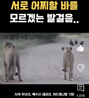 서로 어찌해야할지 모르겠는 발걸음 | 인스티즈