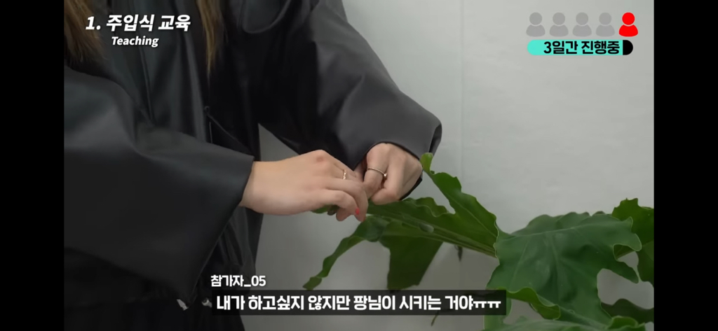 역대급 대충격이였던 식물실험 | 인스티즈