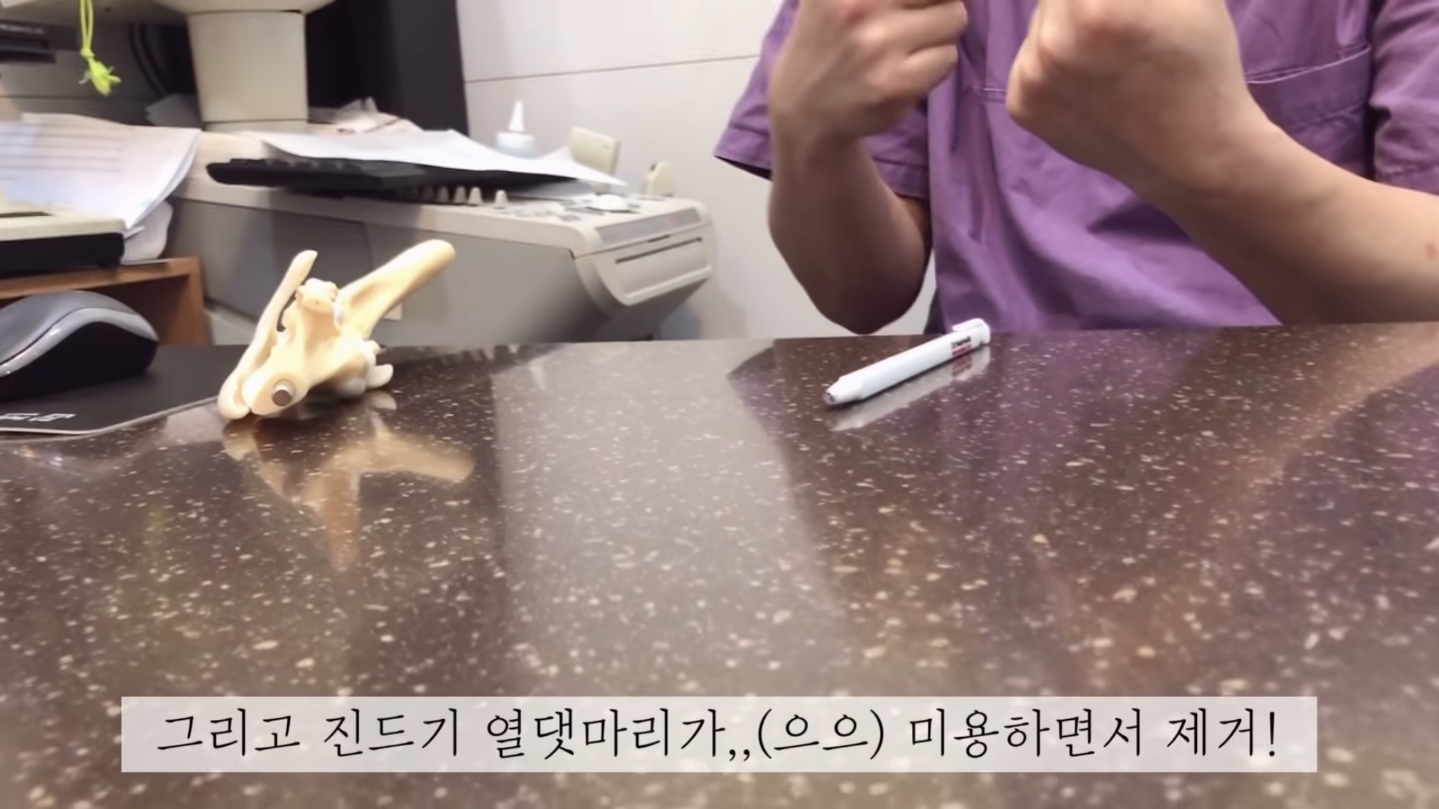 "공고번호 411번" 강아지가 입양되기 전 후 모습.jpgif | 인스티즈