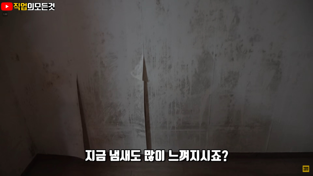 서울 ㅈ같은 원룸들(충격주의) | 인스티즈