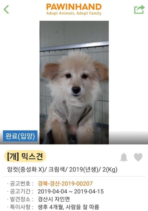 유기견 입양 전후 | 인스티즈