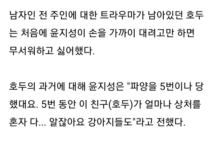 유기견 입양에 대한 윤지성 인스타스토리 | 인스티즈