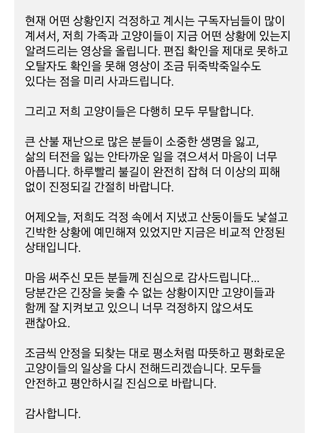 산불때문에 고양이 16마리와 대피한 유튜버 | 인스티즈