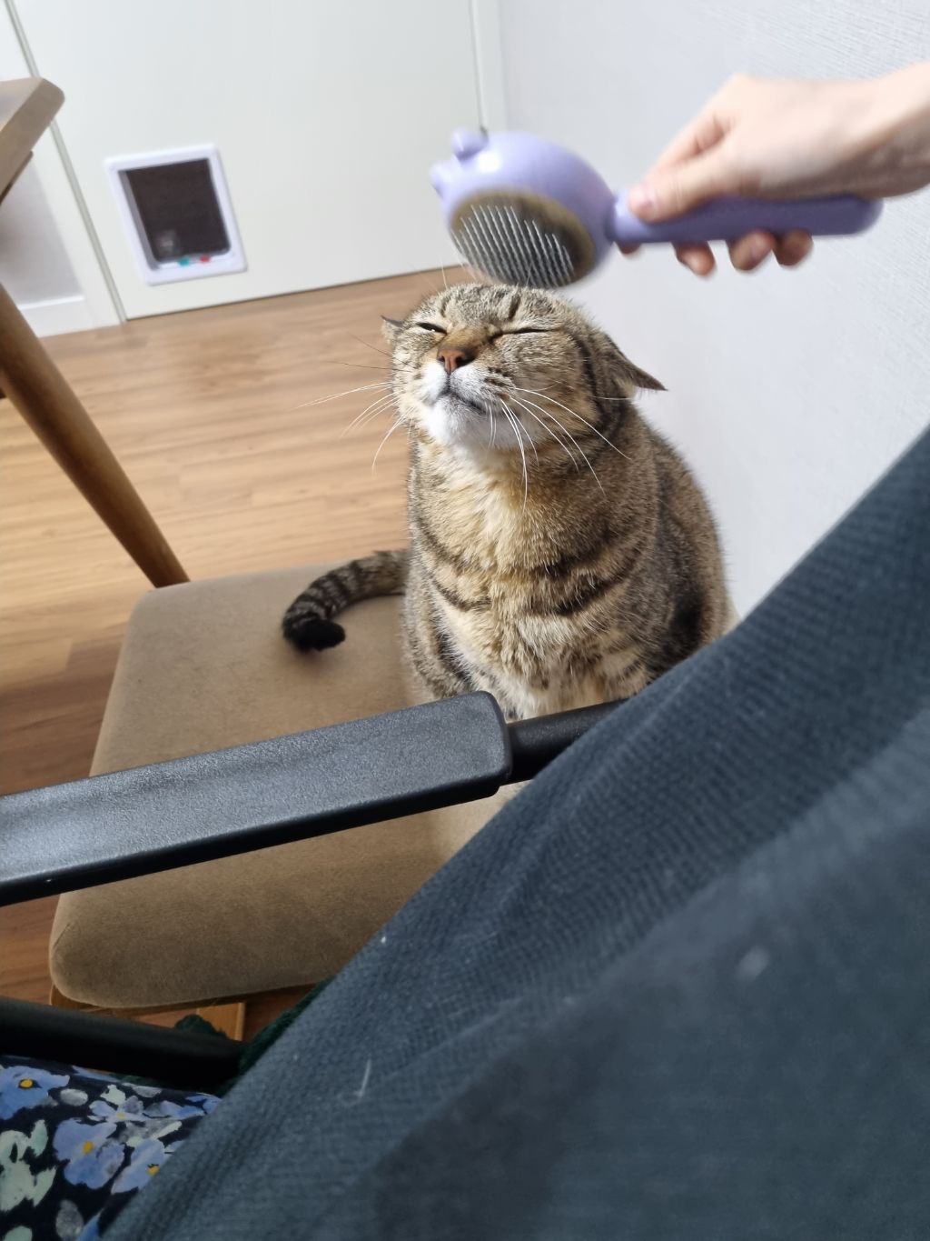 주차장에 버려진 고양이 | 인스티즈