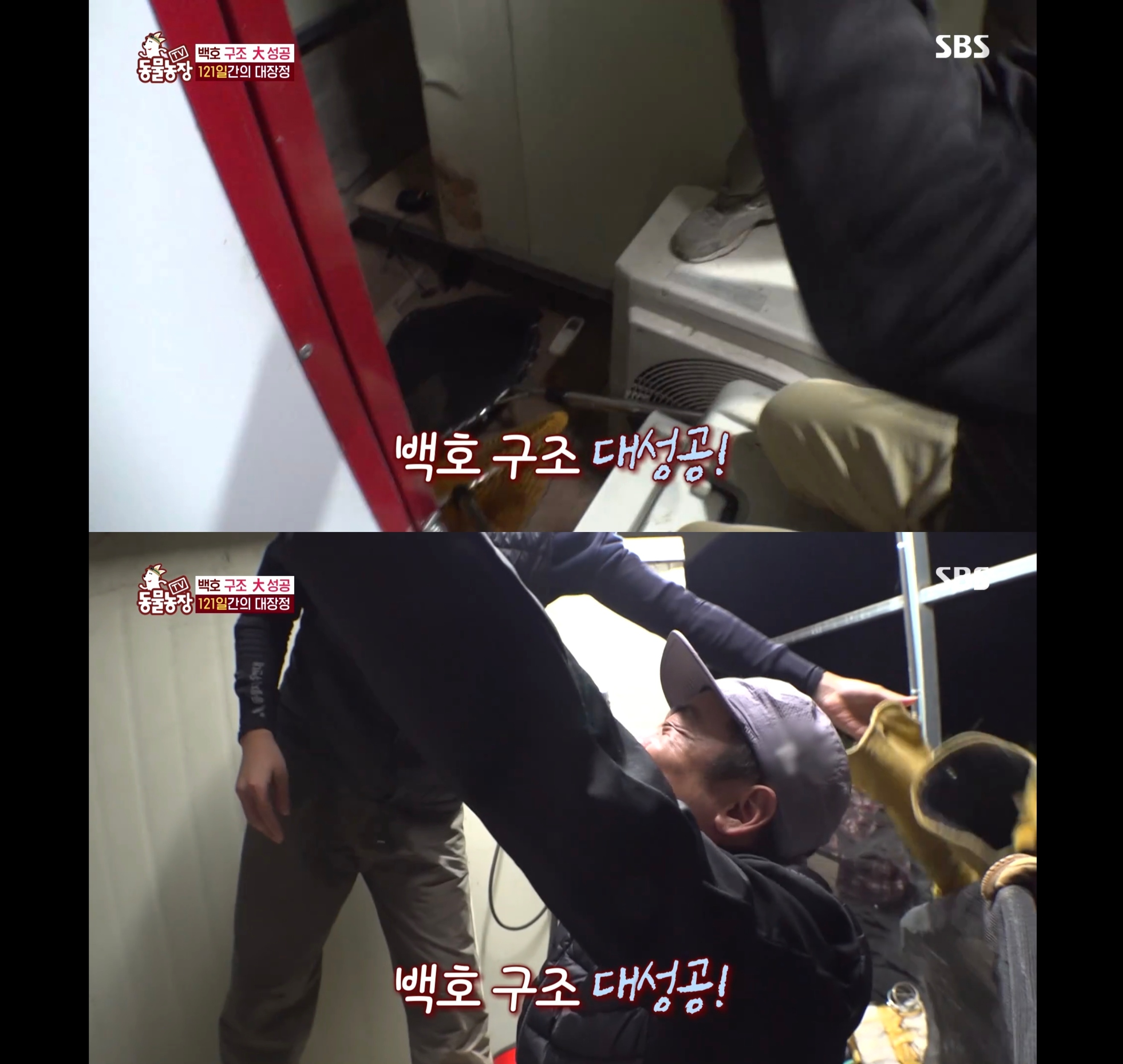 개가 너무 똑똑해서 역대급으로 구조 힘들었던 이번주 동물농장 방송.jpg | 인스티즈