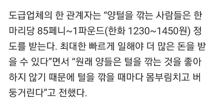 일부 사람들이 어그부츠 안 신는 이유 | 인스티즈