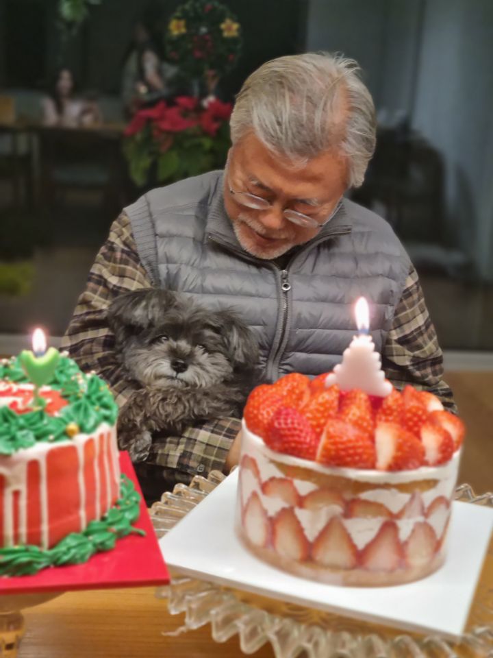 오늘자 올라온 문토리 사진 | 인스티즈