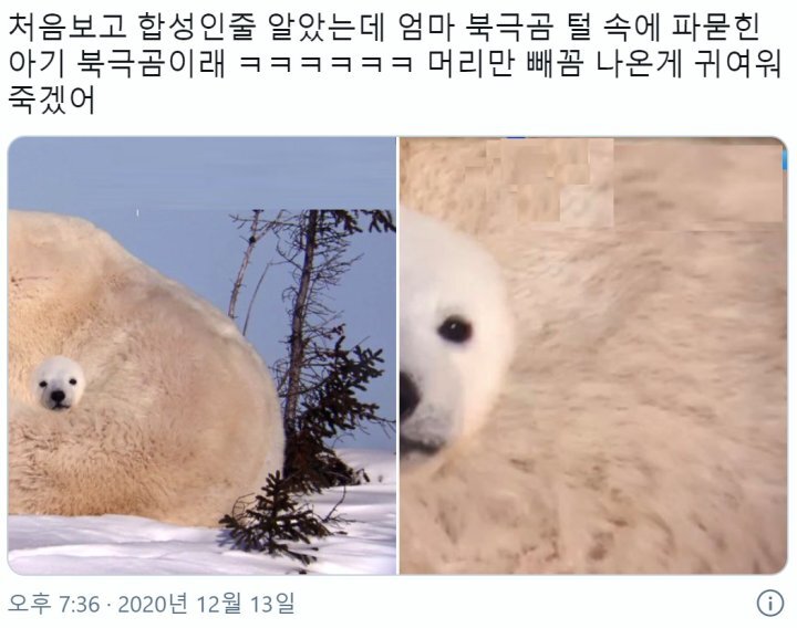 재밌고 귀여운 고전 트위터짤 모음집.jpg | 인스티즈