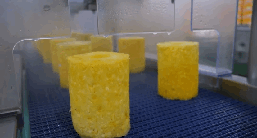 델몬트 파인애플 공장 견학🍍🤓 | 인스티즈