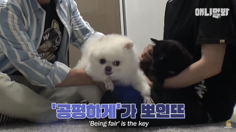 밤낮없이 집 도어락을 누르는 누군가때문에 고민인 부부 | 인스티즈