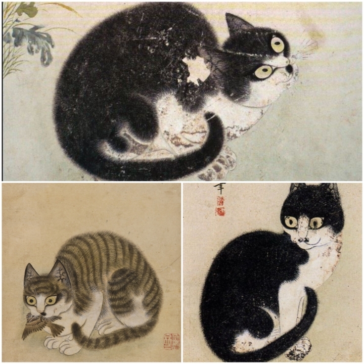 우리나라는 왜 고양이를 "나비야~"라고 부르게 됐을까 | 인스티즈