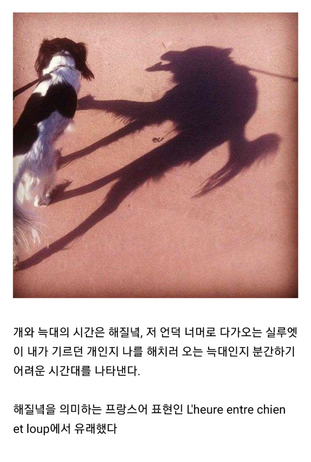 삶은 가질 수도 버릴 수도 없으니 공백 사이의 글이라도 갖겠다 | 인스티즈
