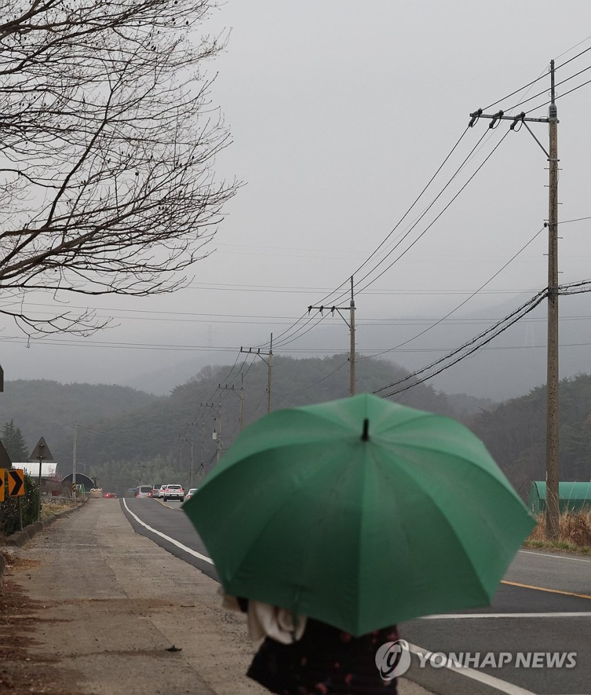 울주 산불 지역에 내리는 단비 | 인스티즈