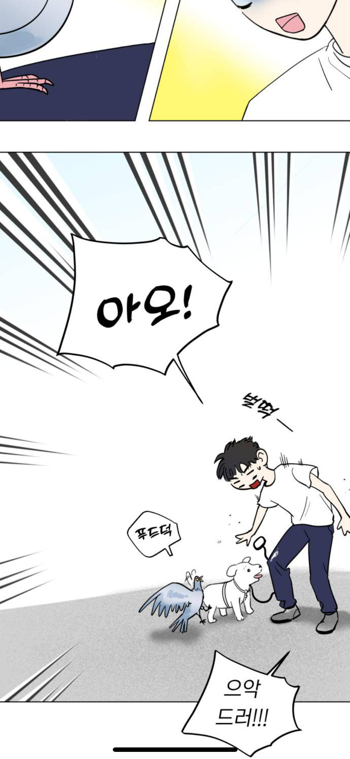 아니 내가 살다살다 비둘기를 볼려고 돈을쓰네 | 인스티즈