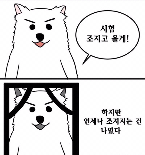 조져