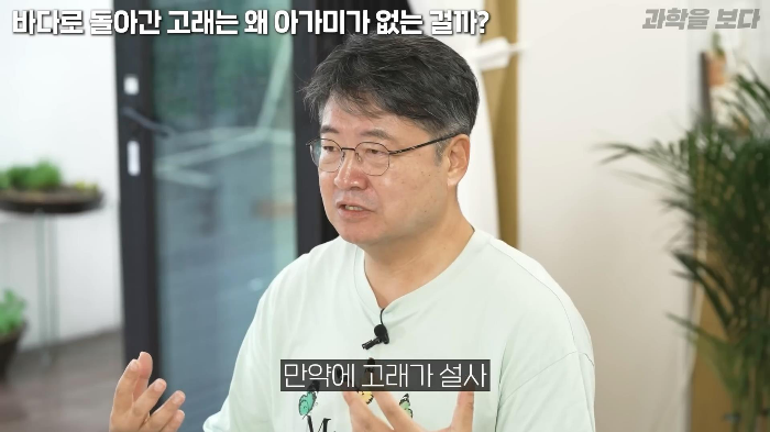 바다로 돌아간 고래는 왜 아가미를 만들지 못했는가 | 인스티즈
