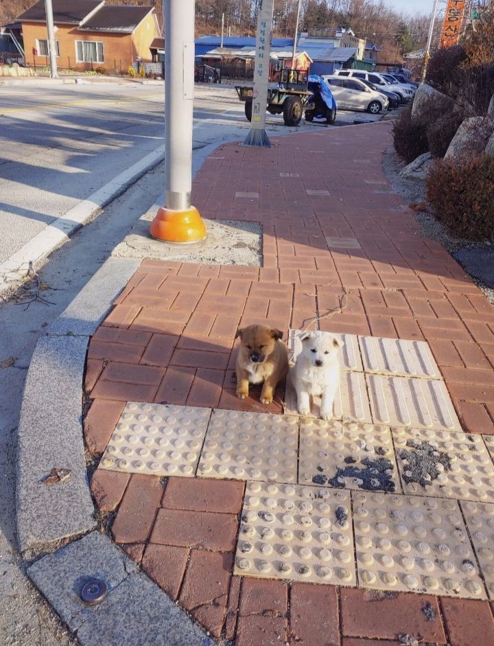 알바가고 있었는데..... | 인스티즈
