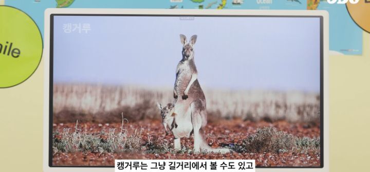 호주인들 국뽕차게 만든 ODG 호주 소개컨텐츠 (애기들 데리고 찍는거) | 인스티즈