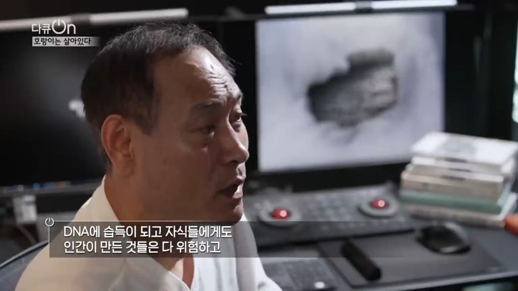 '절멸'의 '한국 호랑이'. 🐅 그 100년간의 이야기. -마지막- | 인스티즈