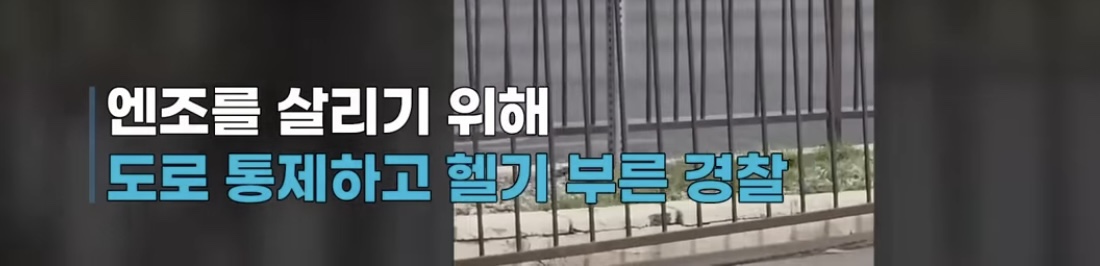 경찰견을 살리기위해 도로를 통제하고 헬기부른 미국 | 인스티즈