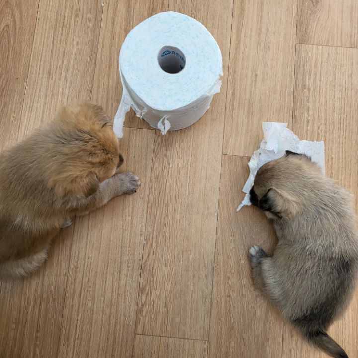 (공지라니... ++추가)새로생긴 회사 복지.. 미쳐서 도저히 일을 못하겠네.. (추가....)++추가 | 인스티즈