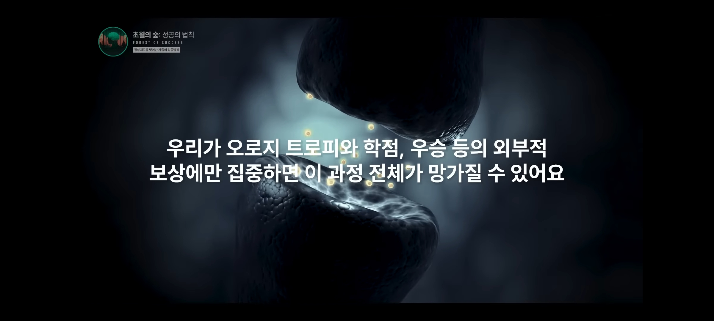 도파민 중독인 내가 도파민을 조절해 원하는 것을 이룰 수 있다고? | 인스티즈