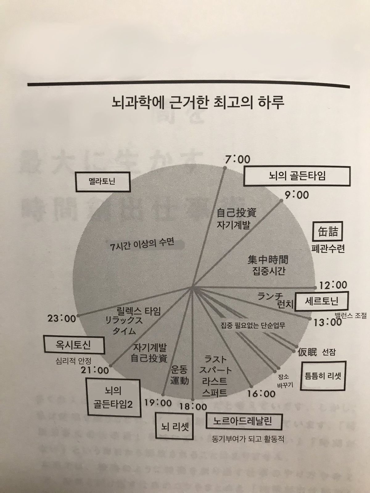 뇌과학에 근거한 최고의 하루 | 인스티즈