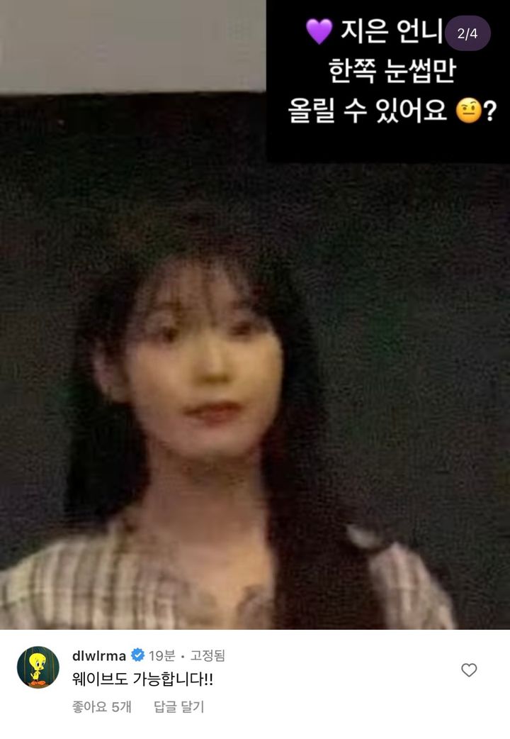 아이유가 인스타에 달고 있는 댓글 | 인스티즈