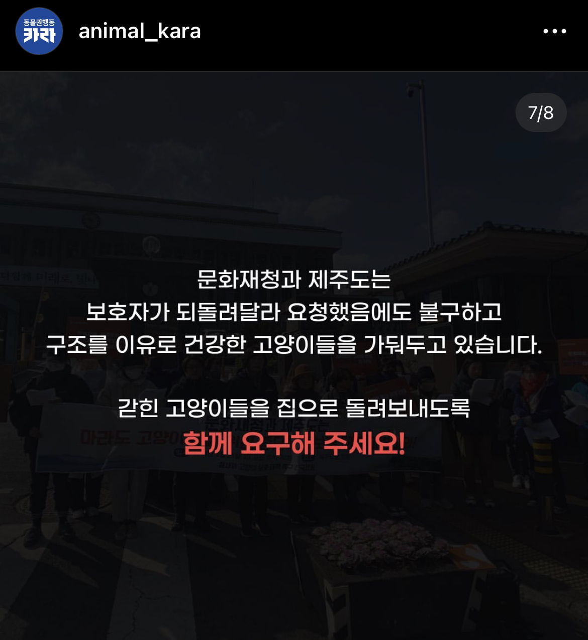 주인도 있는 마라도 고양이가 강제 방출 되어 열흘 넘게 갇혀 있는 중 | 인스티즈