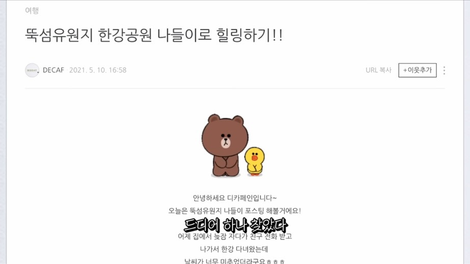 꽁꽁얼어붙은 한강위를 걷는 고양이는 몇살일까? | 인스티즈