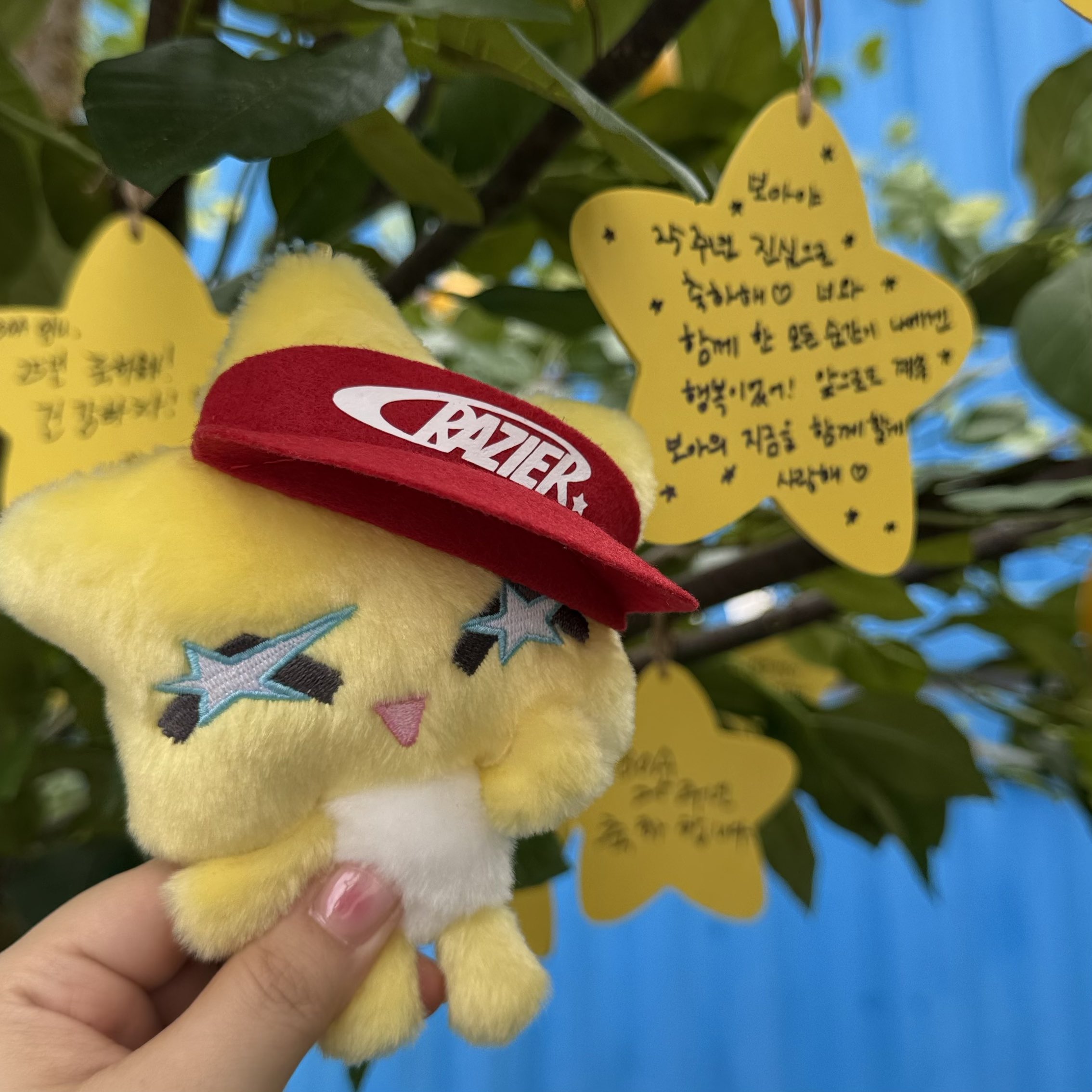 수술 후 처음으로 팬들앞에 나타난 오늘자 보아 근황 | 인스티즈