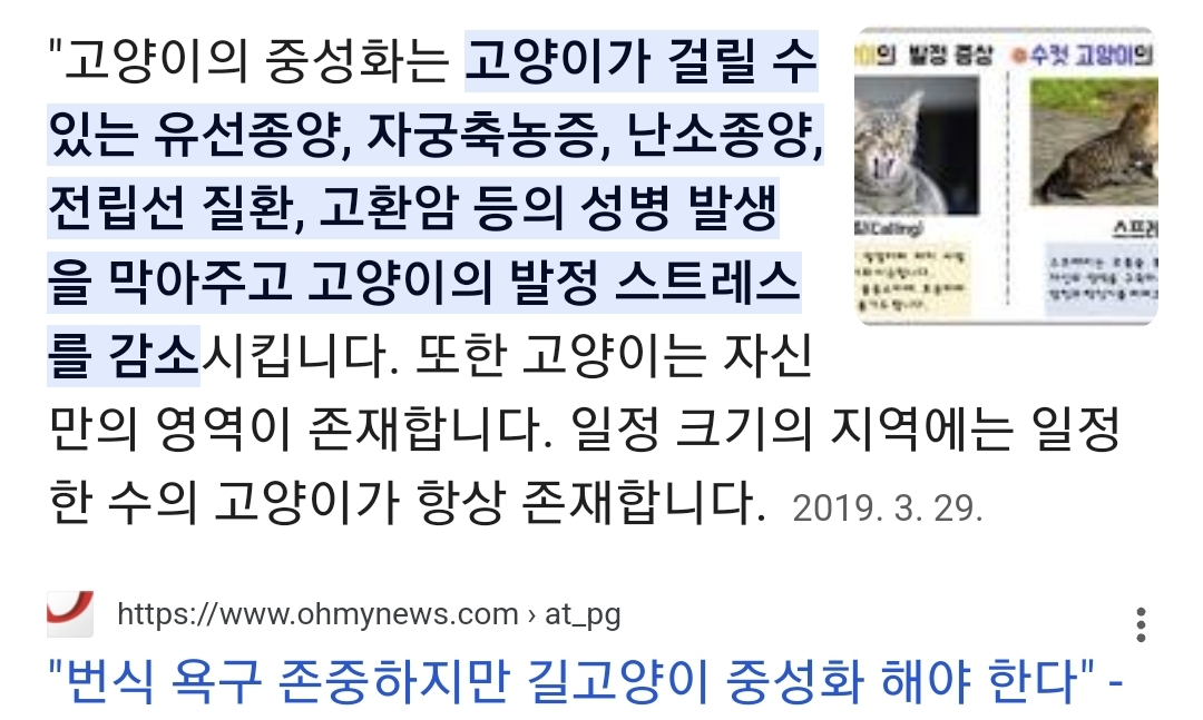 집 마당에 고양이가 나타나는 족족 다 잡아버리는 유튜버..jpg | 인스티즈