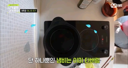 하니가 서럽게 우는 이유.jpg | 인스티즈